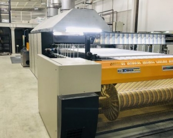 Post Revision Process