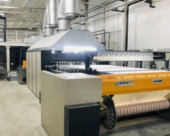 Post Revision Process