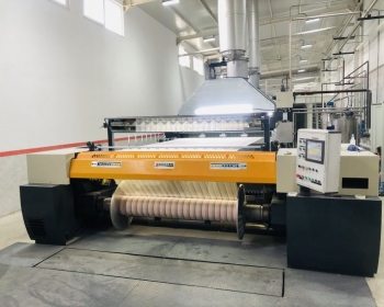 Post Revision Process