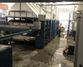 Before Revision Process